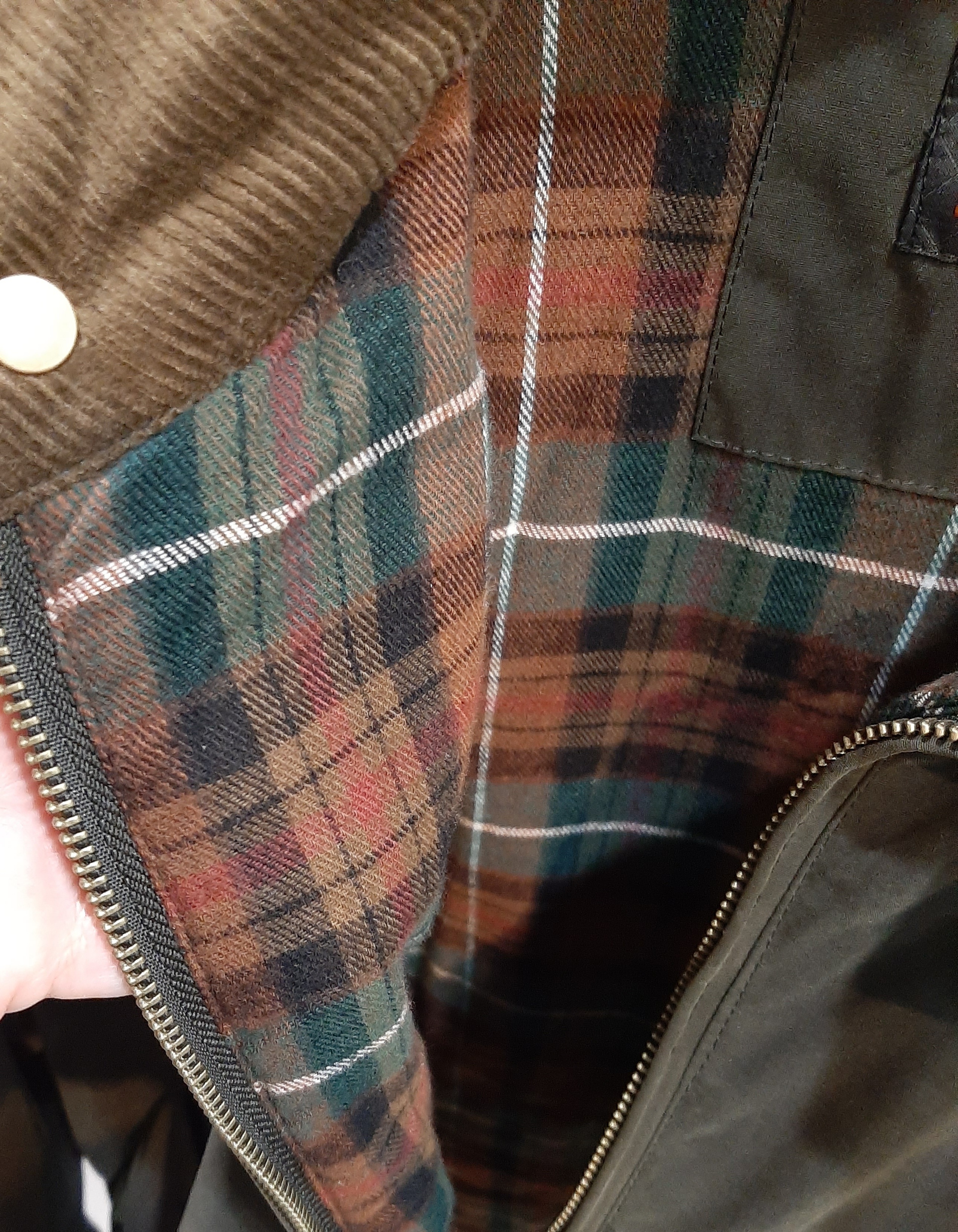 C. 42875 APARICIO (2)